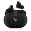 Beats Studio Buds + True Wireless Noise Cancelling Earbuds